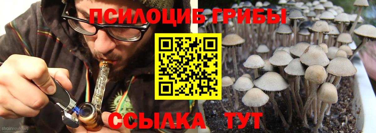 продажа наркотиков  Вход с VPN  Прокопьевск  Галлюциногенные грибы Magic Shrooms  Галлюциногенные грибы мицелий 